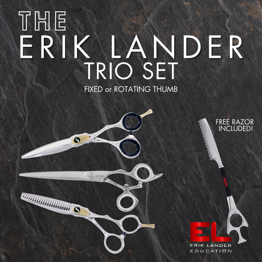 The ERIK LANDER Trio