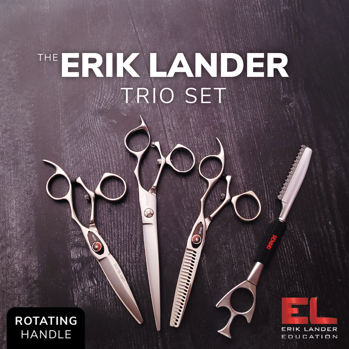 The ERIK LANDER Trio